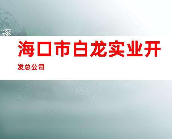 海口市白龙实业开发总公司